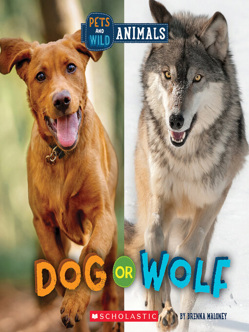 Title details for Dog or Wolf by Brenna Maloney - Available